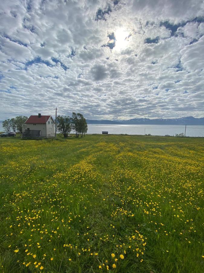 Unique And Charming Holiday Home With Fantastic Sea Views Tromsø Esterno foto