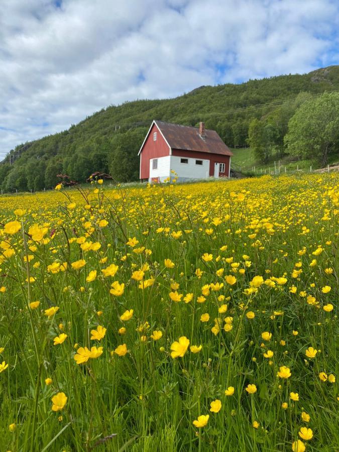 Unique And Charming Holiday Home With Fantastic Sea Views Tromsø Esterno foto