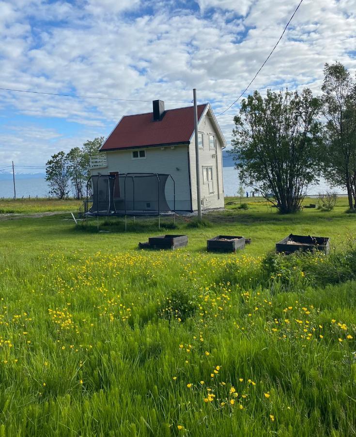 Unique And Charming Holiday Home With Fantastic Sea Views Tromsø Esterno foto