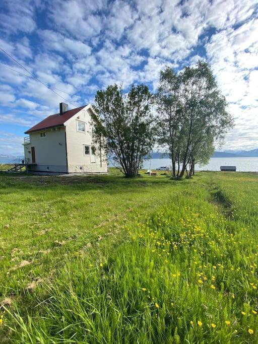 Unique And Charming Holiday Home With Fantastic Sea Views Tromsø Esterno foto