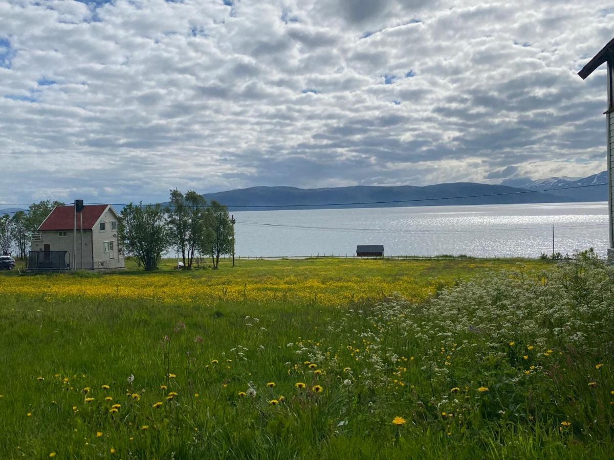 Unique And Charming Holiday Home With Fantastic Sea Views Tromsø Esterno foto