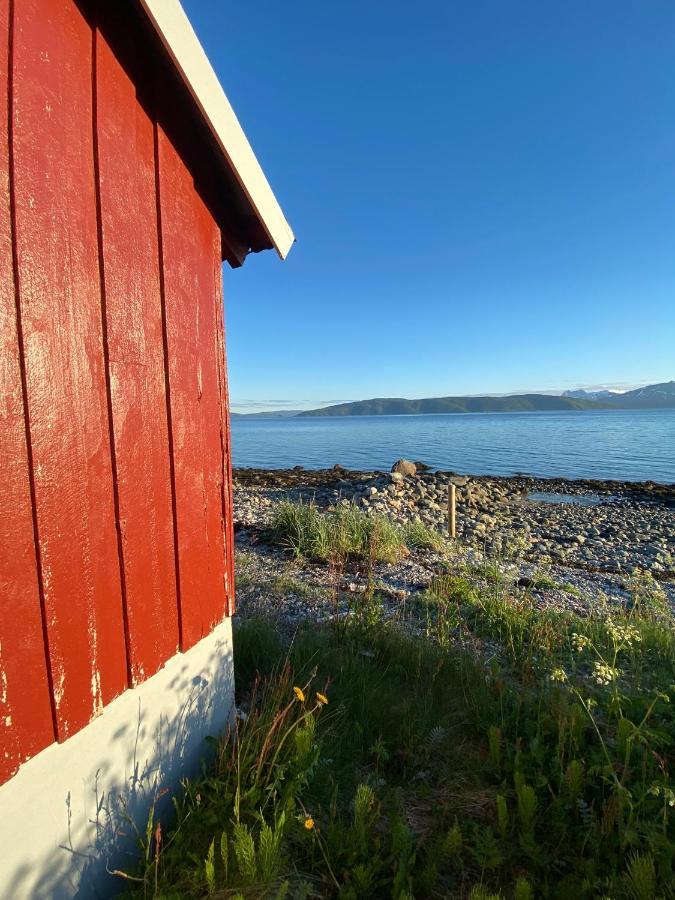 Unique And Charming Holiday Home With Fantastic Sea Views Tromsø Esterno foto