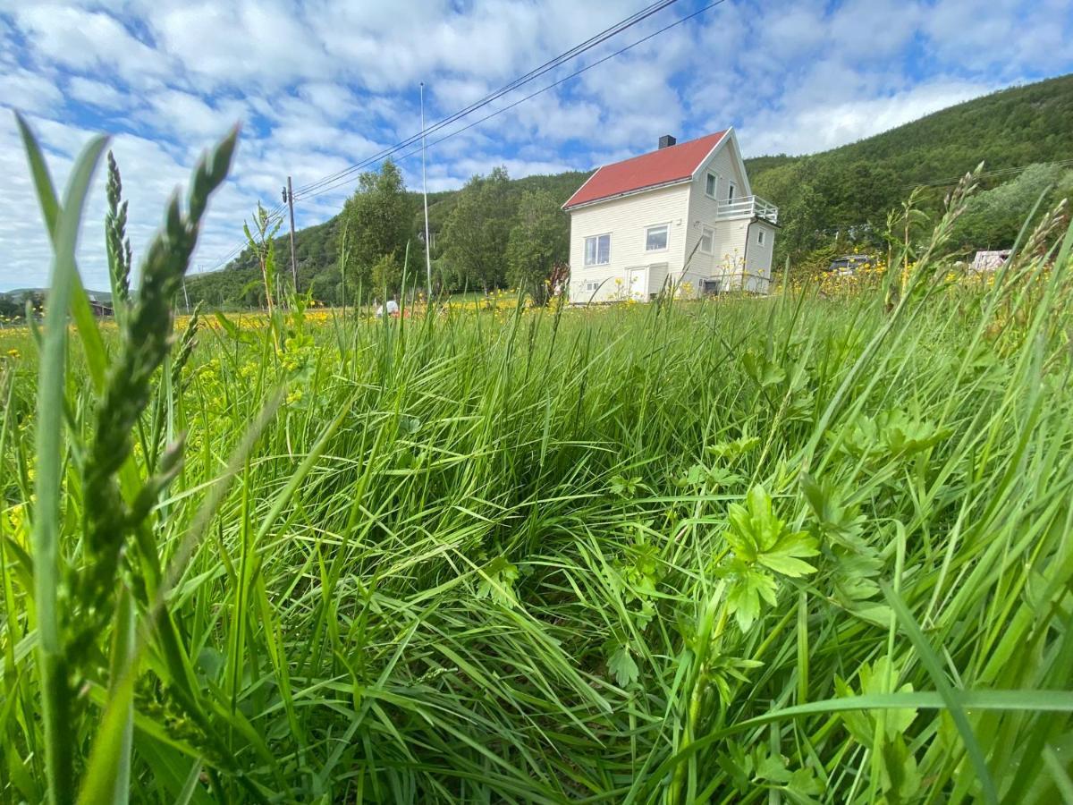 Unique And Charming Holiday Home With Fantastic Sea Views Tromsø Esterno foto