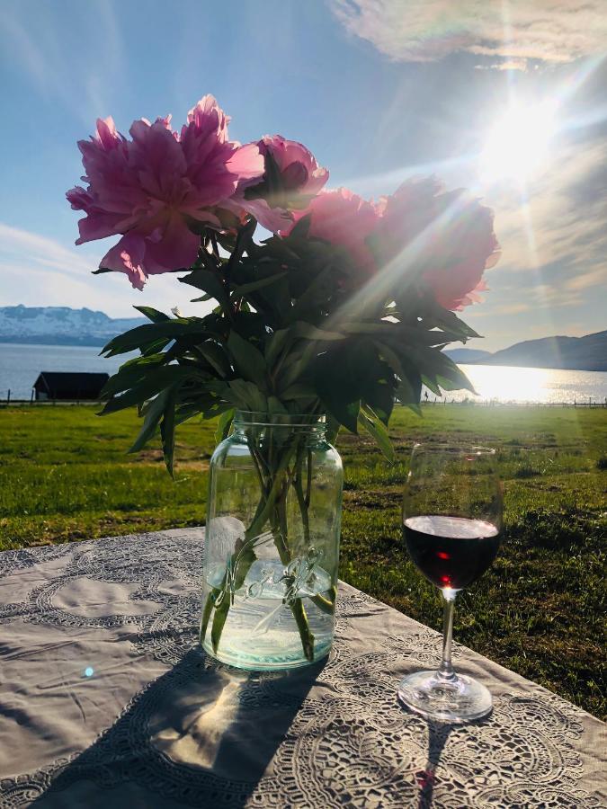 Unique And Charming Holiday Home With Fantastic Sea Views Tromsø Esterno foto