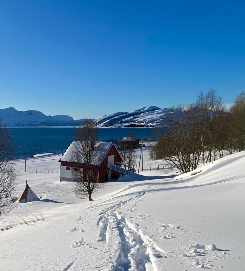 Unique And Charming Holiday Home With Fantastic Sea Views Tromsø Esterno foto